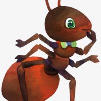 mercredi en famille fourmis mercredi en famille fourmis